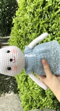 Crochet cute Bunny