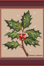 Holly by Natalia Semenova