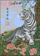 PINN 58-A Dignified Tigres