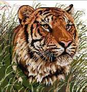 Tiger Portrait by Jayne Netley Mayhew from Cats of the World in Cross Stitch 2002 XSD