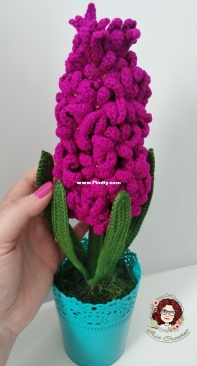Crocheted Hyacinthus