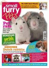 Small Furry Pets-Issue 23-August-2015