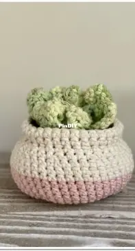 Cloud 9 Knots - Nicole Mansfield - Sienna succulent