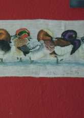 Ducks