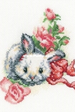 RTO C289 Fluffy Gift XSD