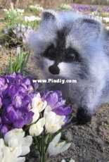 my raccoon