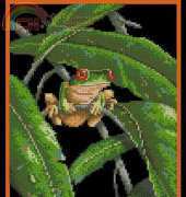 Dimensions 35251 Tree Frog Among Leaves XSD