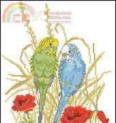 Eva Rosenstand ER 12-994 Budgerigar