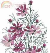 RTO M260 Cosmos