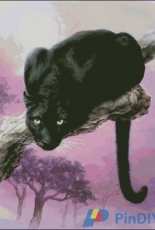 HAED HAEKAH 121 Black Panther by Kayomi Harai