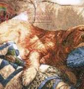 Bucilla 43474 Golden Dreams