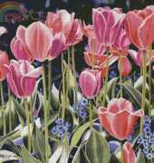 Haukun H055 - Tulips