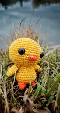 Crochet Duck Amigurumi