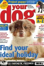 Your Dog - February 2019