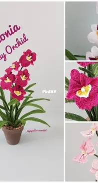Pippa Patterns - Connie Rockliff - Miltonia - Pansy Orchid
