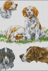 Dog Sampler 1 by Alisa Okneas