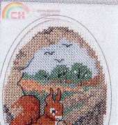 OOE 42611 Squirrel