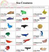 Origami Club - Sea creatures