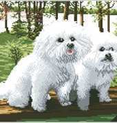 PANDA-LIKE DOG