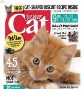 Your Cat-February-2015