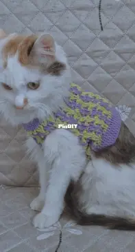 cat sweater handmade crochet pet clothes