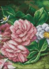 Roses From Rozarka 2012-01