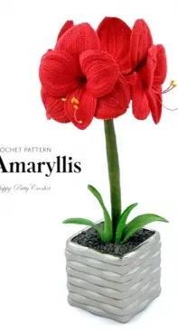 Happy Patty Crochet - Amaryllis