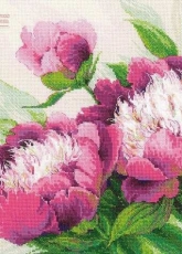 Riolis Premium 100/039 Pink Peonies - Pivoines Roses in XSD