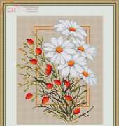 Luca-S- B290 - Marguerites XSD