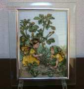Flower Fairies The Black Medick Fairies