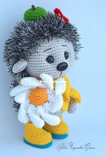 Hedgehog