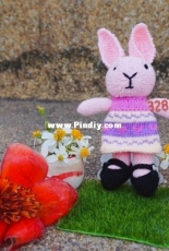 little  rabbit