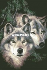 Two Wolves from Nastunya 50