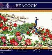 DOME 90109 Peacock