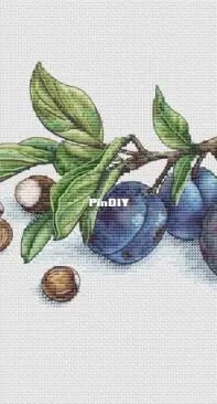 Plum by Ksenia Adonyeva
