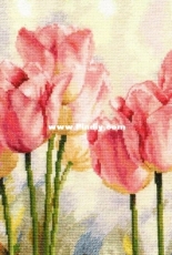 Alisa 2-37 - Pink Tulips