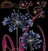 Anchor Maia 5678000-05019 - Ornamental Agapanthus XSD