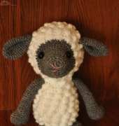 sheep