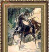 Levron - Black Stallion