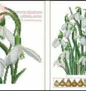 Thea Gouverneur TG 446 Galantus XSD