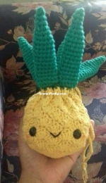Pineapple Bag