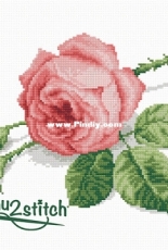 Jacky Lonen - beau2stitch - Pink Rose