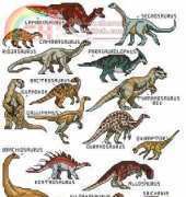 Jeanette Crews Designs - One Nighters 467 - 32 Dinosaurs PCS