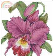 Elegant Orchid by Barbara Baatz from American School of Needlework ASN3712 Five Fabulous Flowers XSD