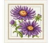 Ellen Maurer Stroh EMS - Flower of the Month - September - Aster PCS