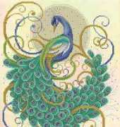 Swirling Peacock