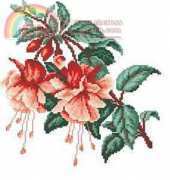 RTO M144 Fuchsia
