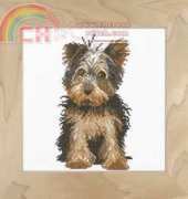 Lanarte 35080 Yorkie