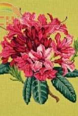 Rhododendron - Elisabeth Bradley