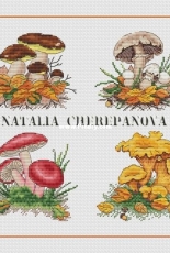 Pillow of a Real Mushroom Picker - Natalia Cherepanova